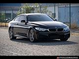 2014 BMW 4-Series photo 1
