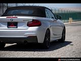 2017 BMW 2-Series photo 10