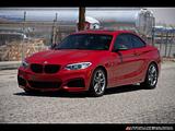 2014 BMW 2-Series photo 3