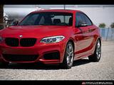 2014 BMW 2-Series photo 8