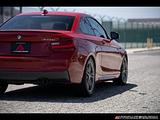 2014 BMW 2-Series photo 10