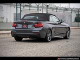 2015 BMW 2-Series photo 4