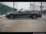 2015 BMW 2-Series photo 11