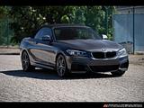 2016 BMW 2-Series photo 1