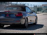 2016 BMW 2-Series photo 10