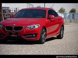 2017 BMW 2-Series photo 8