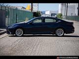 2019 Lexus ES 300h photo 11