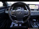 2019 Lexus ES 300h photo 14