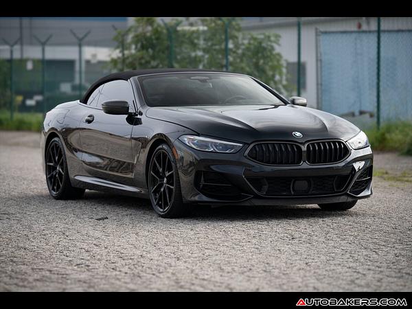 2019 BMW 8-Series