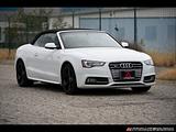 2014 Audi S5 photo 1