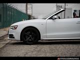 2014 Audi S5 photo 12