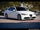 2019 Alfa Romeo Giulia photo 1